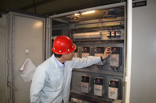 最美建材人——泰山石膏陈勇 以厂为家的匠心螺丝钉