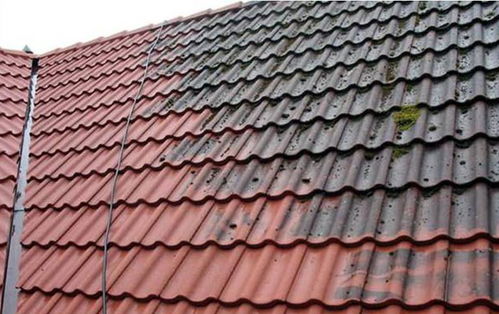 买地建房那些事儿 选对建筑外观与建材，打造科技住宅